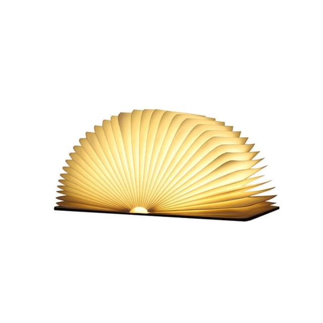 Libro decorativo iluminado